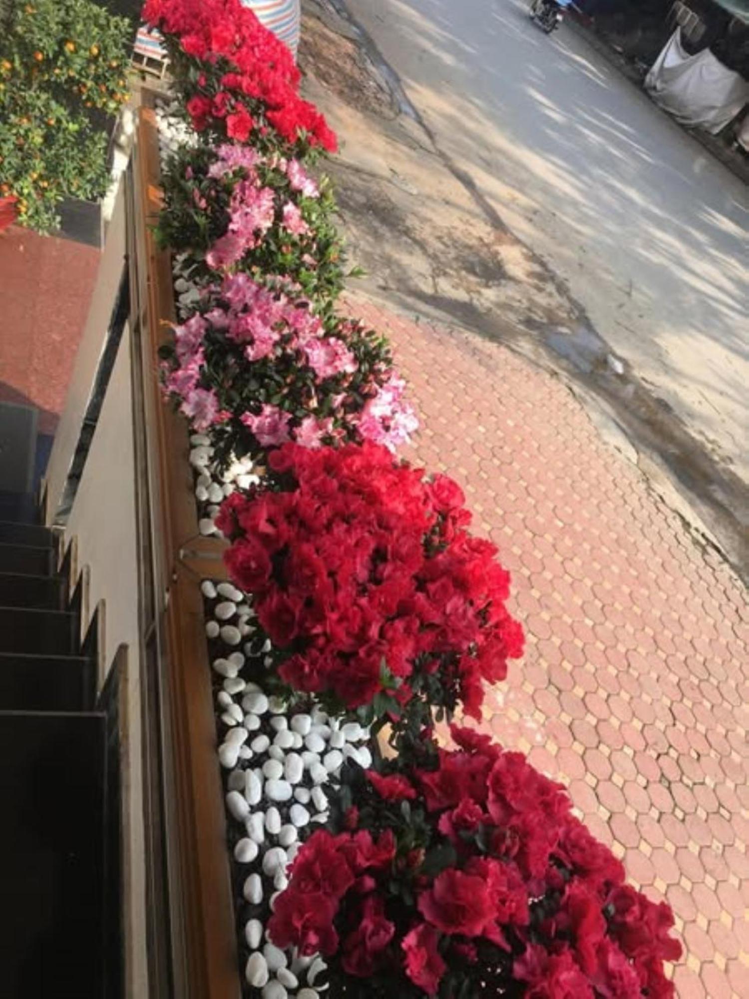 Hoa Viet Hotel Као Банг Екстериор снимка